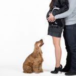 cherche photographe pour une séance photo de grossesse avec chien dans le (91)