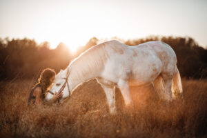 shooting photo avec la cavalière et son